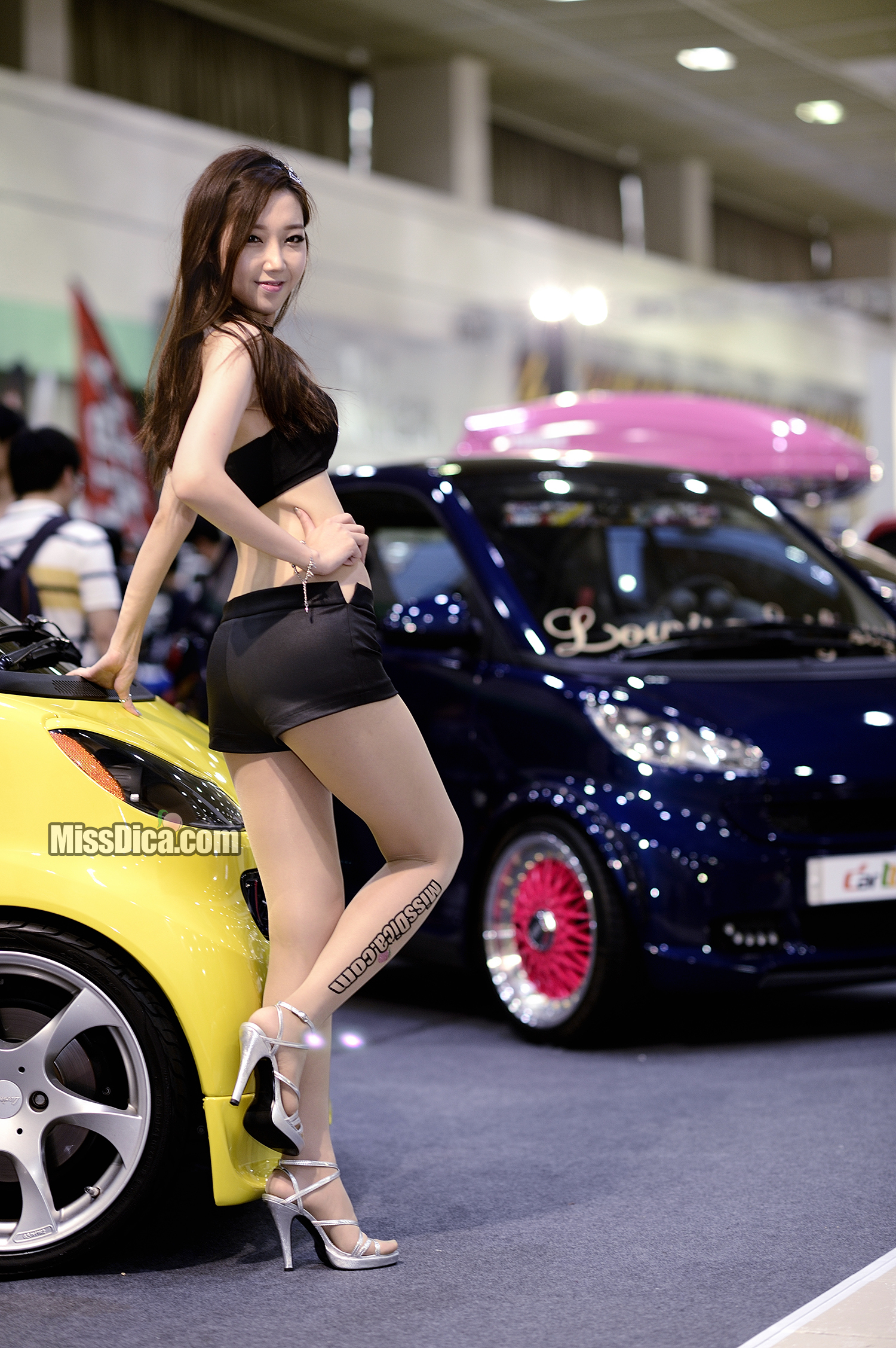 MISSDICA006.jpg