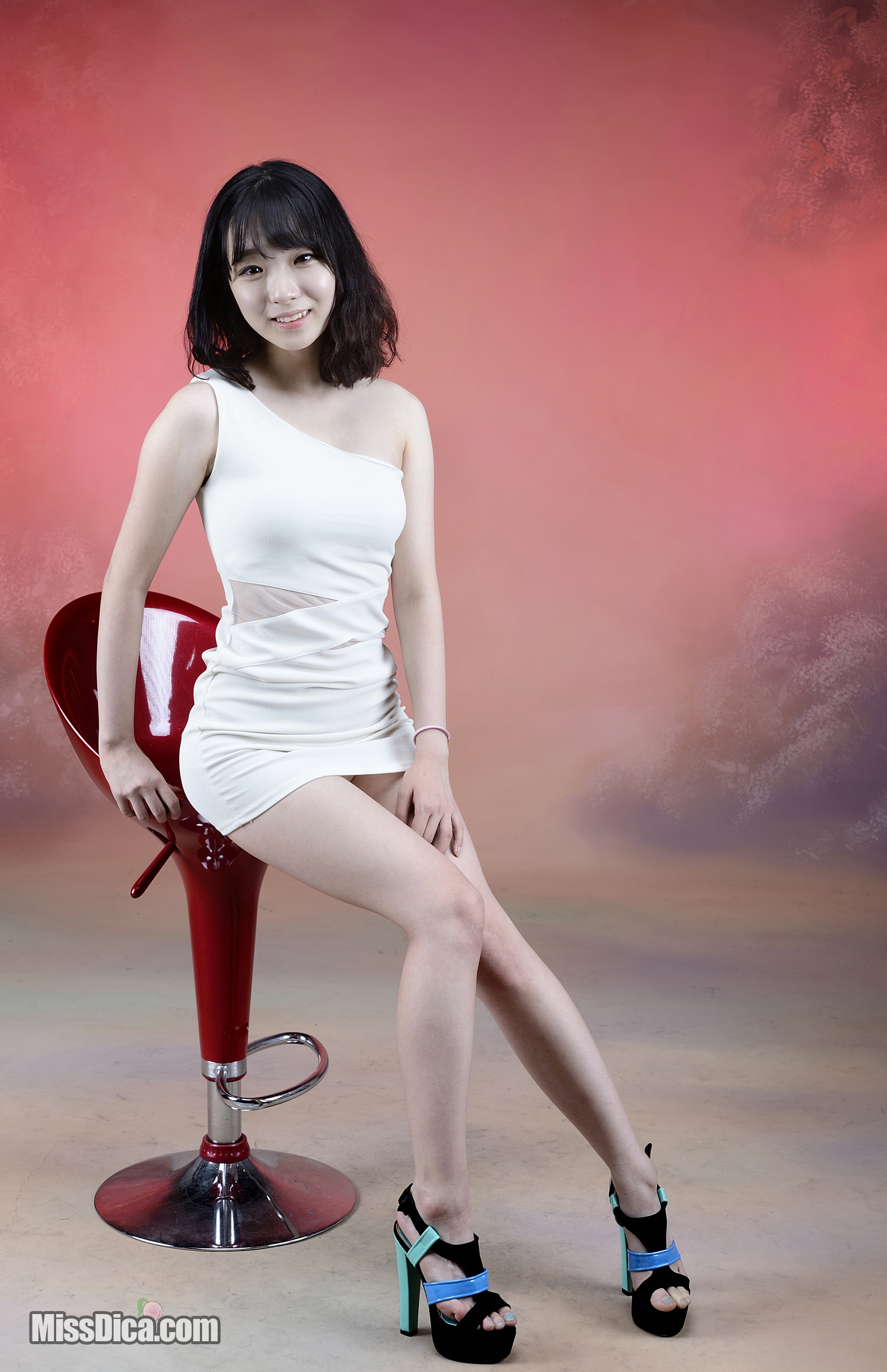 MISSDICA011.jpg
