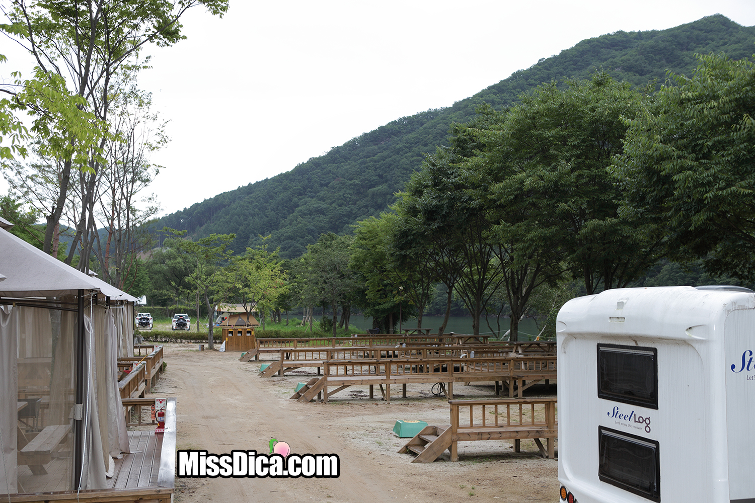 CN0P8677 복사.jpg