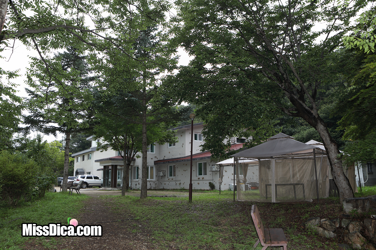CN0P8701 복사.jpg