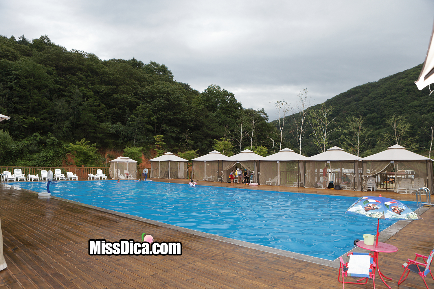 CN0P8698 복사.jpg
