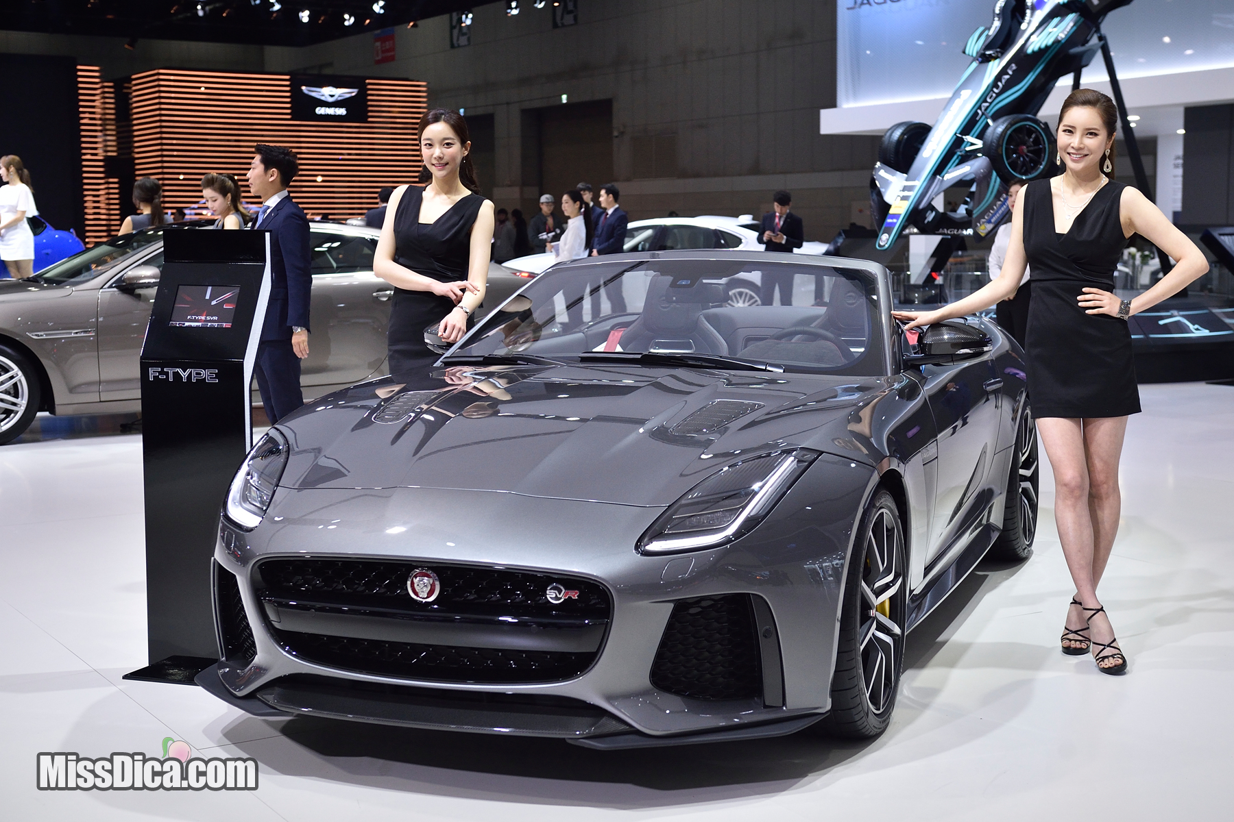 a027.jpg