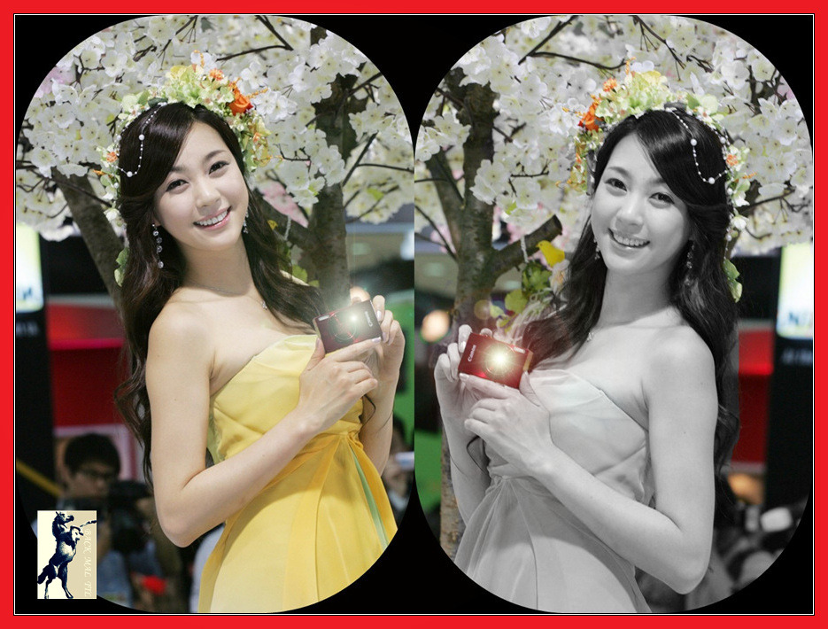 주다하15-horz[1].jpg