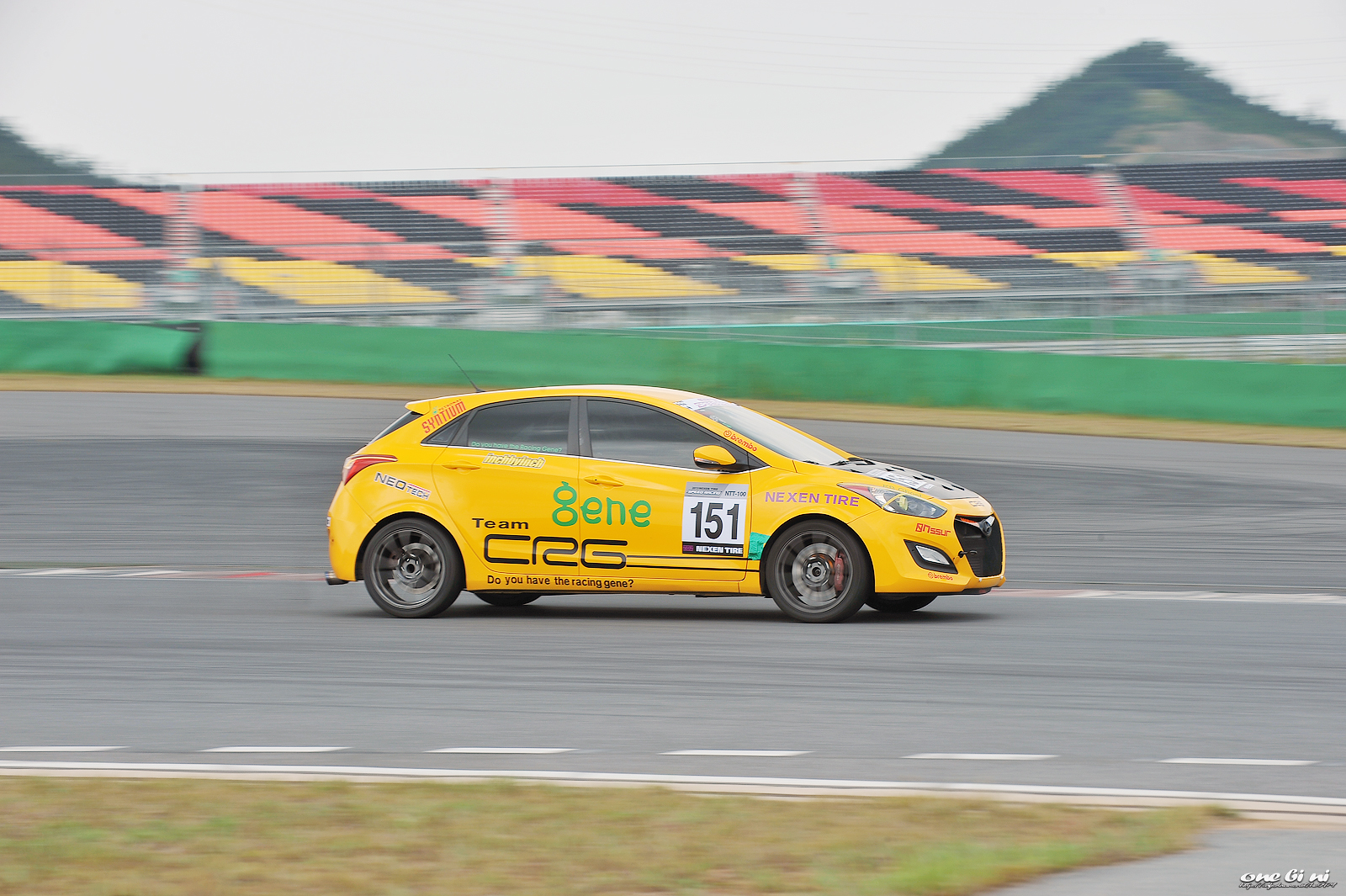 DSC_3351.jpg