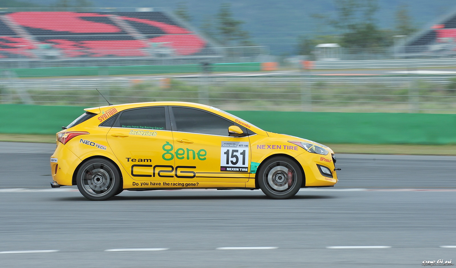 DSC_3352.jpg