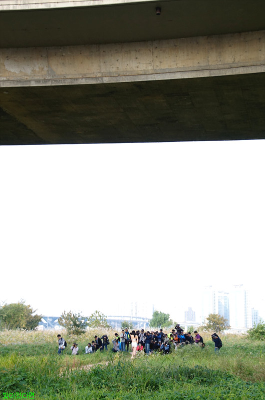 DSC14254.jpg