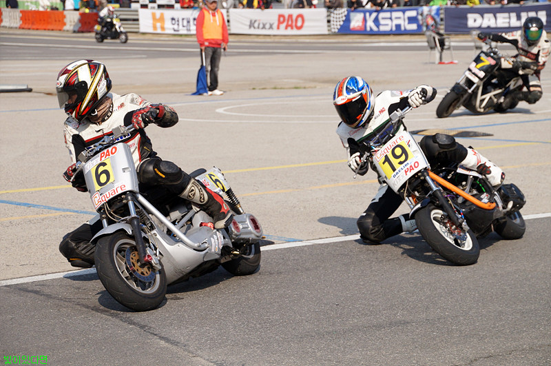 DSC15198.jpg