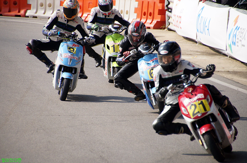 DSC14397.jpg
