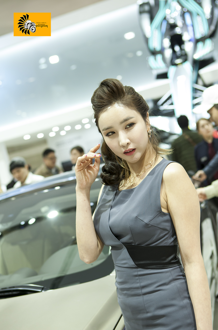 2017서울모터쇼(킨텍스3월31일) (474).jpg