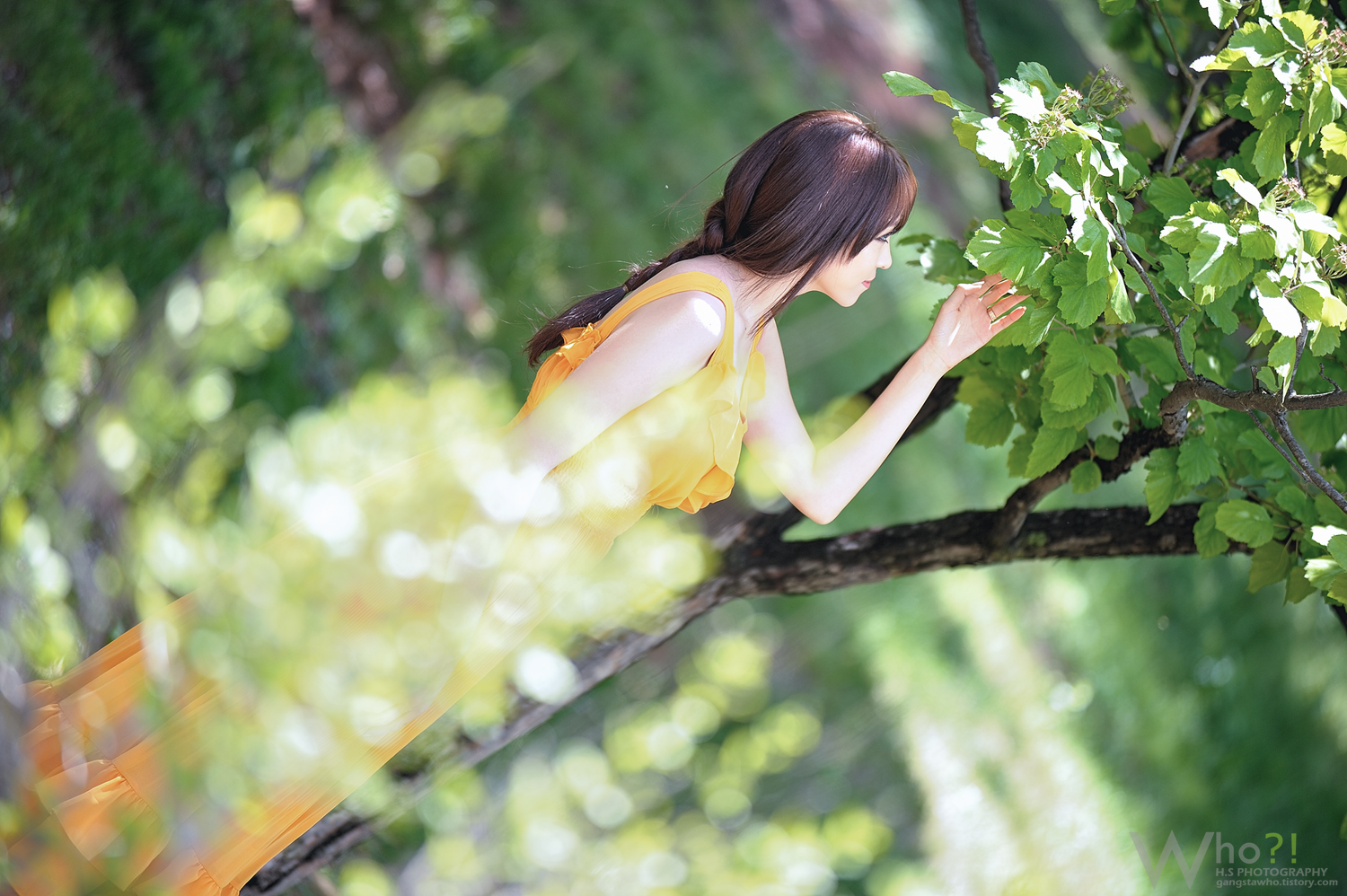 WHO_1809-1.jpg