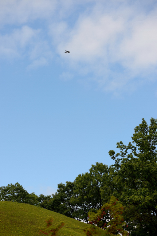 D4A_8781.JPG