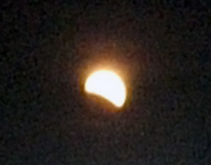 DSCF1203.JPG
