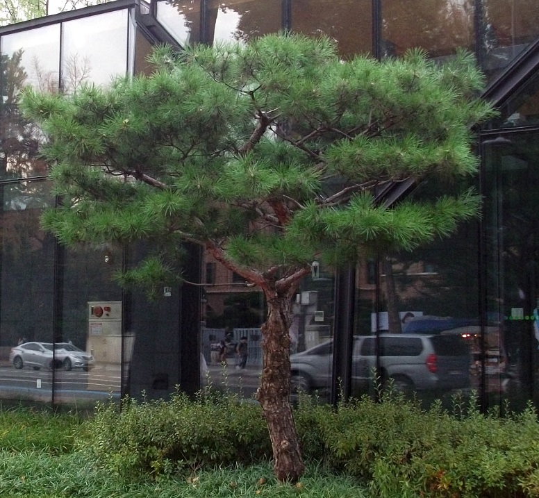 DSCF8938.JPG