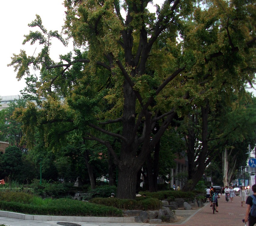 DSCF8939.JPG
