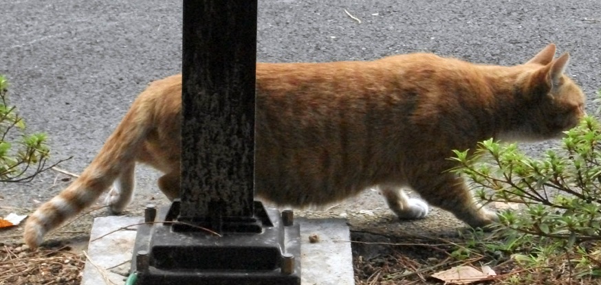 DSCF2037.JPG