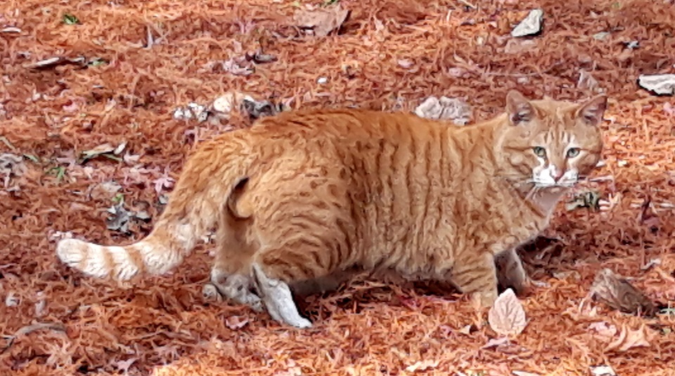 20190111_130504.jpg
