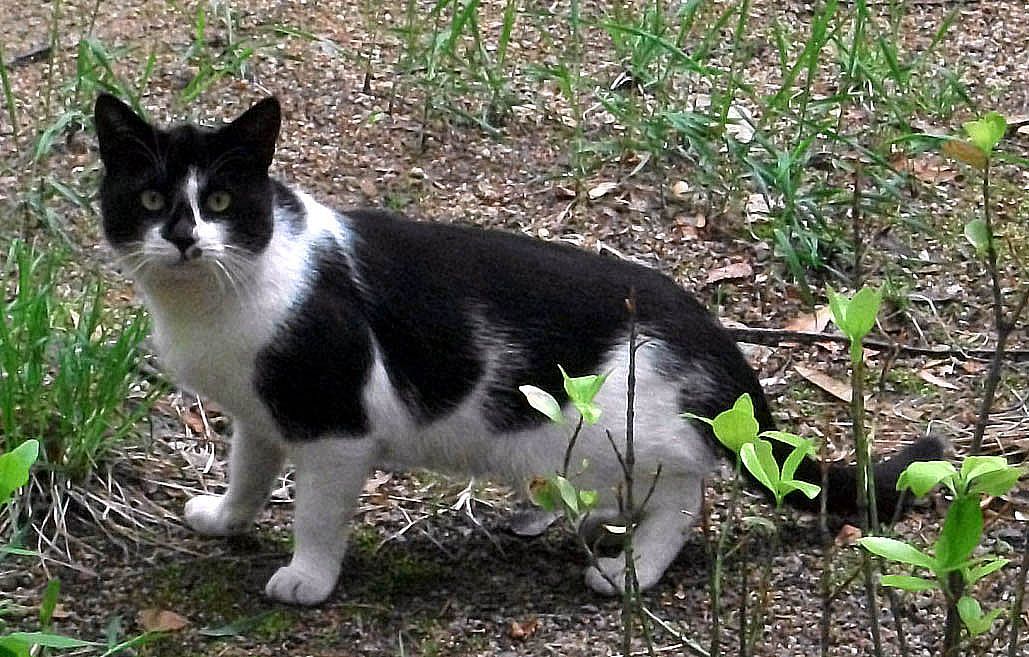 DSCF8966.JPG