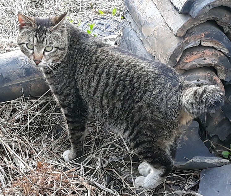 20190427_174141.jpg