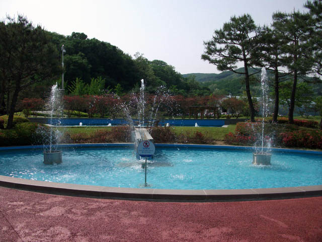DSCF2231.JPG