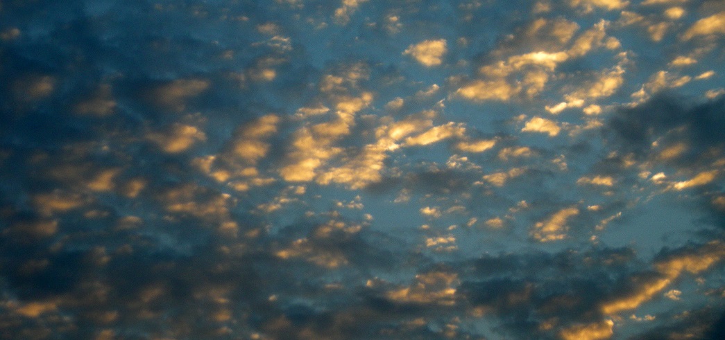 DSCN1917.JPG