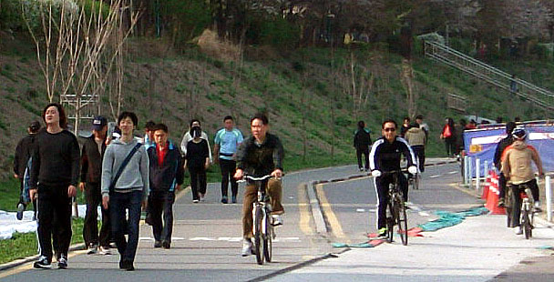 DSCF8851.JPG