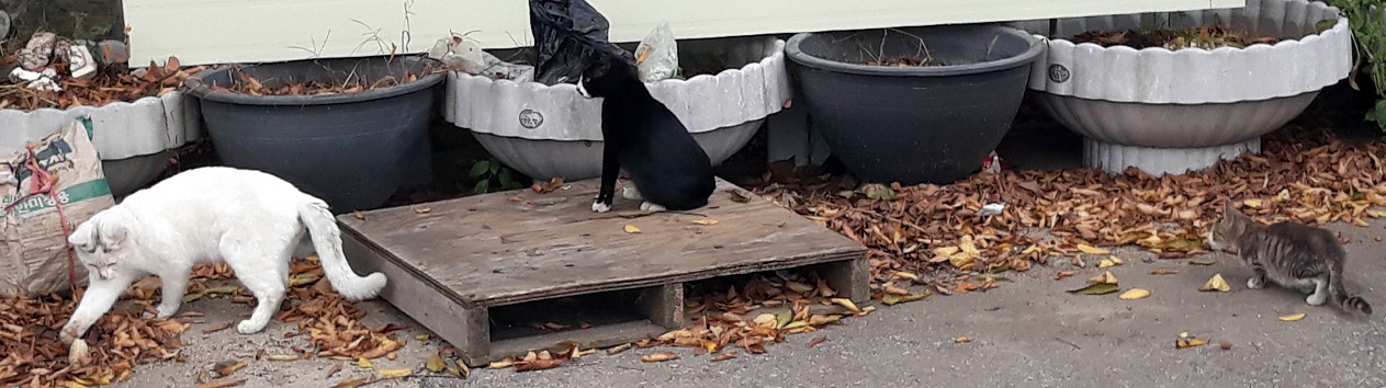 20181018_144236.jpg