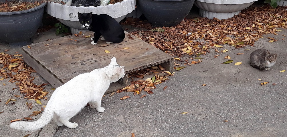 20181018_144314.jpg