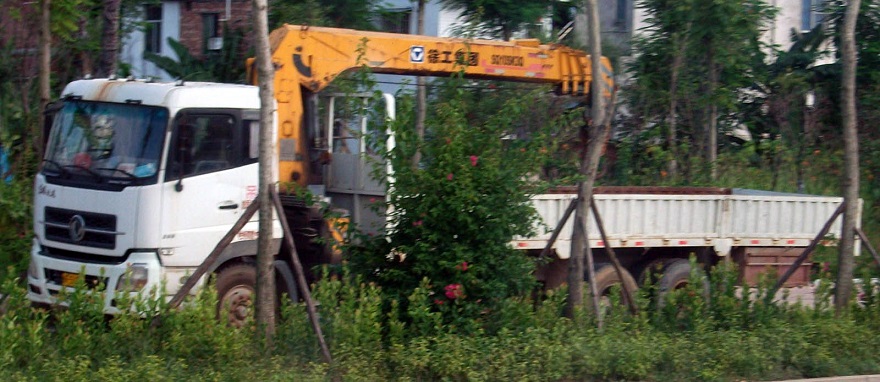 DSCF8230.JPG