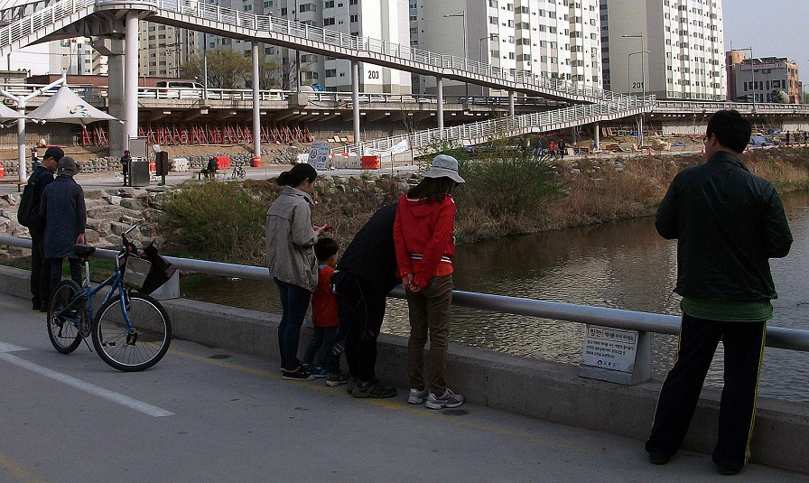 DSCF8867.JPG