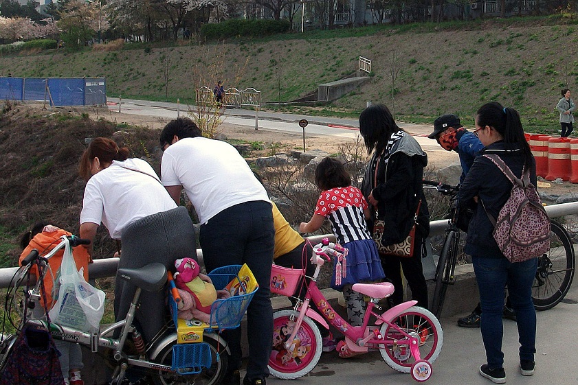 DSCF8866.JPG