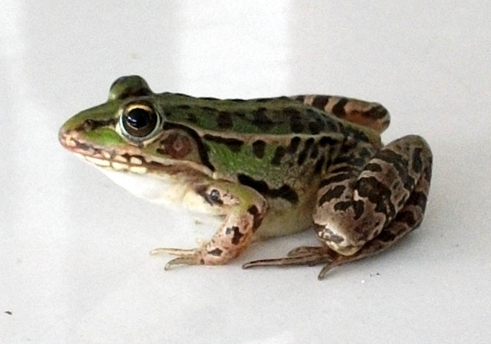 DSCF1314.JPG