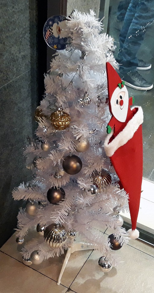 20181226_183725.jpg
