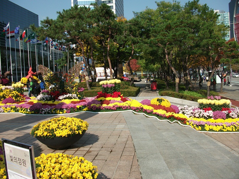 DSCF (15).JPG