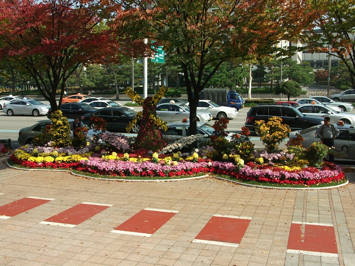 DSCF (12).JPG