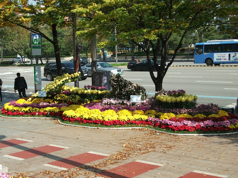 DSCF (16).JPG
