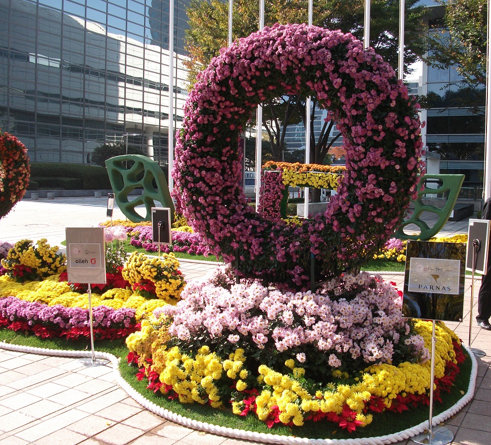 DSCF (11).JPG