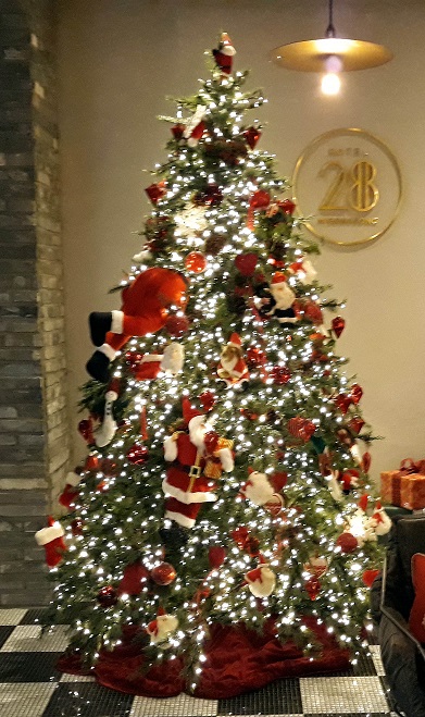 20181226_184343.jpg