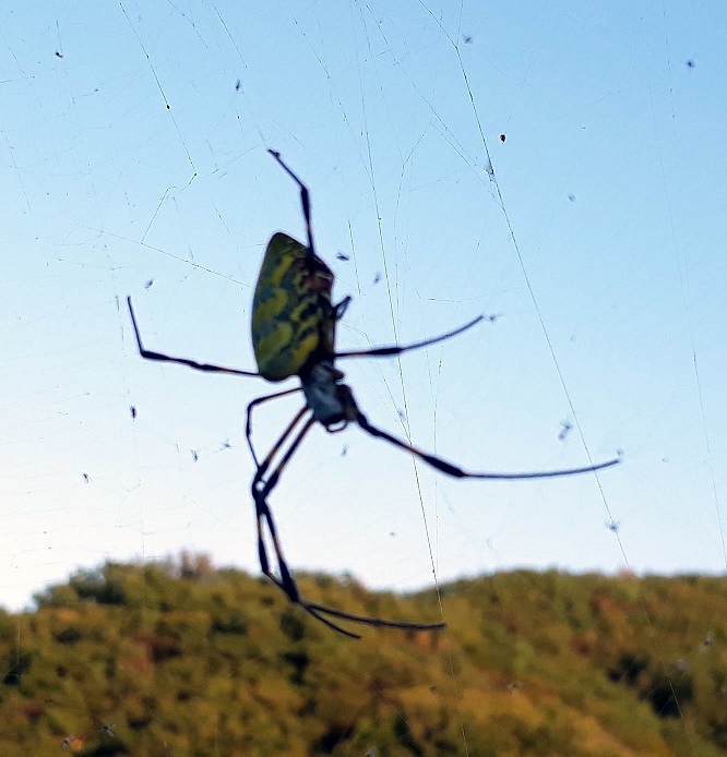 20180927_174428.jpg