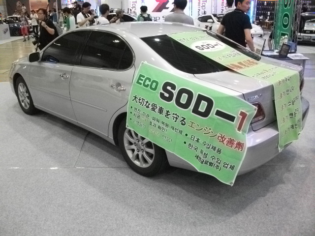 DSCF9895.JPG