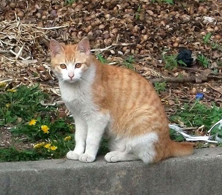 DSCF8893.JPG