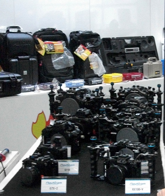 DSCF5440.JPG