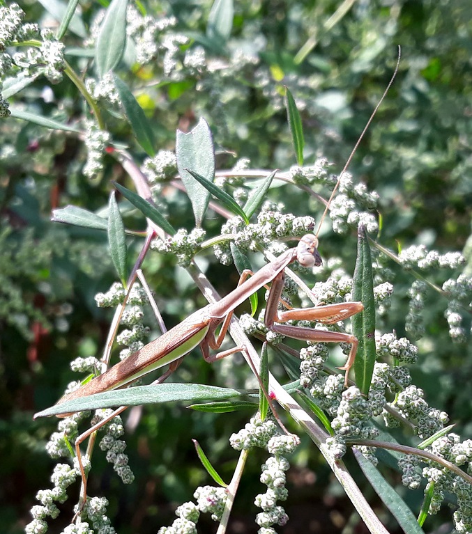 20180927_145238.jpg