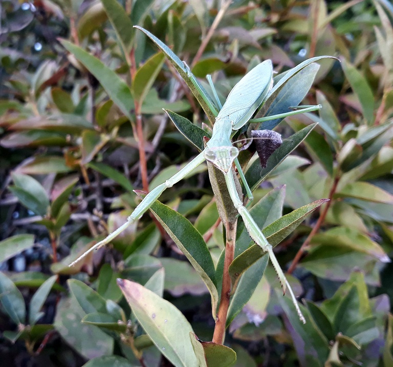 20180927_173812.jpg