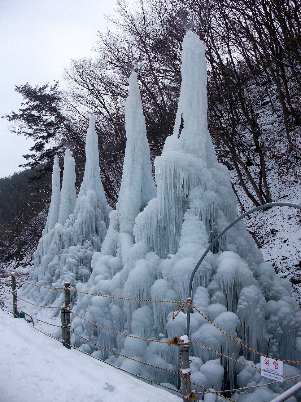 DSCF5422.JPG
