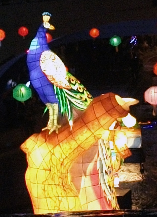 DSCF0203.JPG