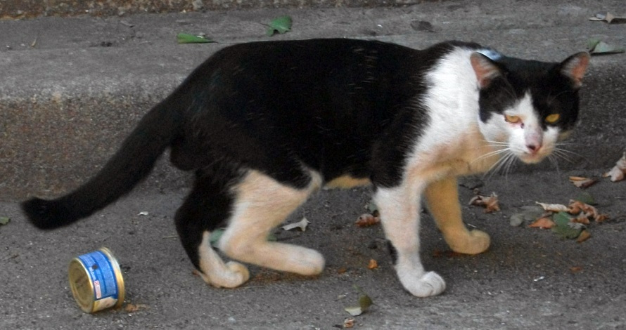 DSCF9375.JPG
