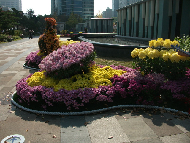 DSCF (28).JPG