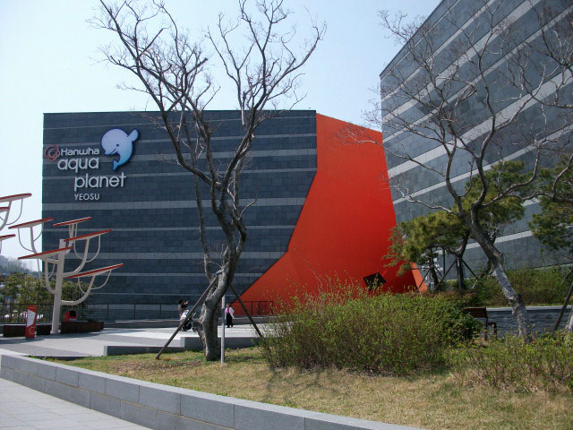 DSCF0617.JPG