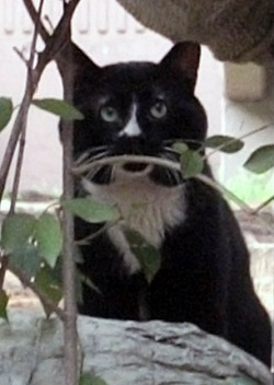 DSCF6837.JPG