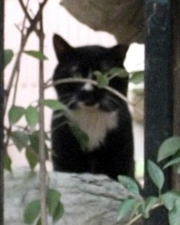 DSCF6836.JPG